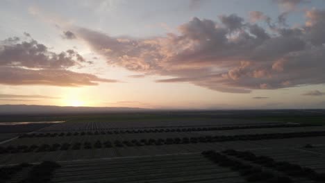 Drone-shot-slowly-pulling-away-from-a-rich,-dusky-agricultural-field-in-California,-beautifully-contrasted-against-a-vibrant-sunset