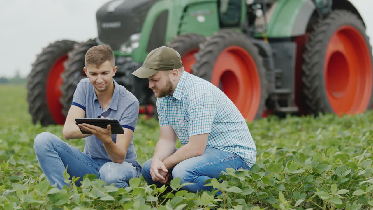 dos jóvenes agricultores que trabajan en el campo con soja