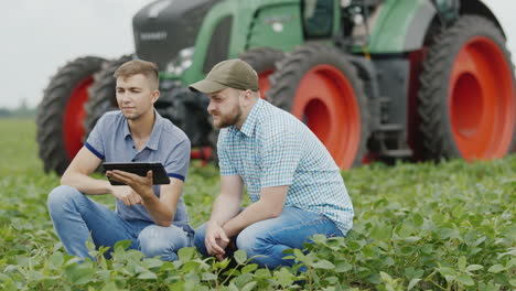 two young farmers working on the field with soybeans