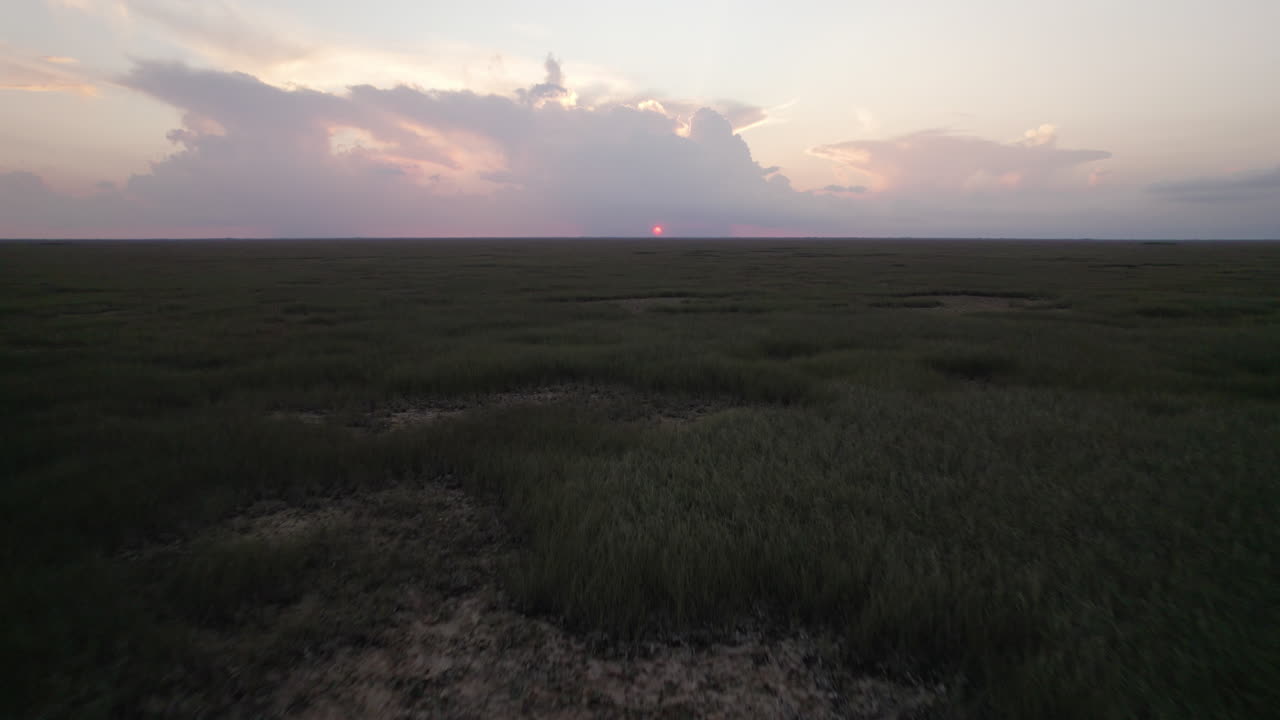 Palude erbosa delle Everglades, acquitrino, tramonto, vista aerea 3