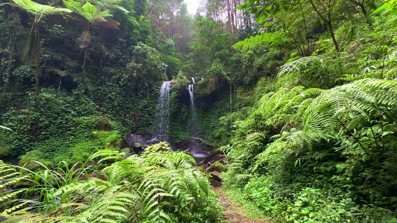 Bellissima cascata doppia tropicale nel mezzo della foresta