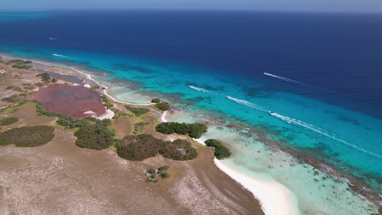 Vista aerea di una costa tropicale con alberi rigogliosi, acque cristalline e barriere coralline