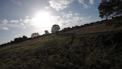 FPV-drone-flying-low-across-agricultural-farmland-grass-meadow-between-countryside-trees