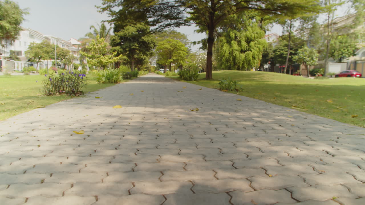 Athletes Preparing for Marathon in City Park