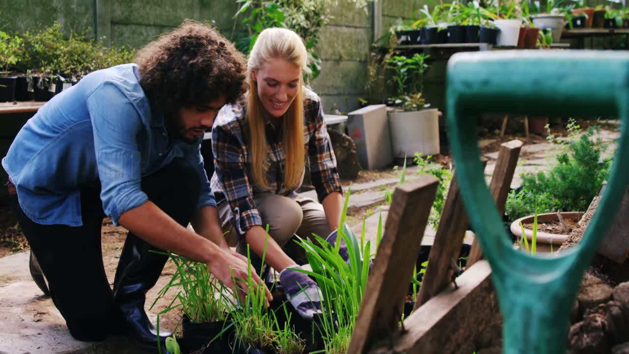 jardineros interactuando y mirando las plantas