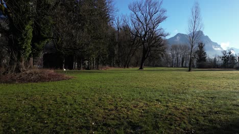 Drohnenaufnahme-Einer-Grünen-Wiese-Mit-Alpen-Im-Hintergrund-An-Einem-Klaren-Tag-Am-Walensee,-Schweiz