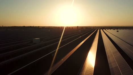solar farm at sunset