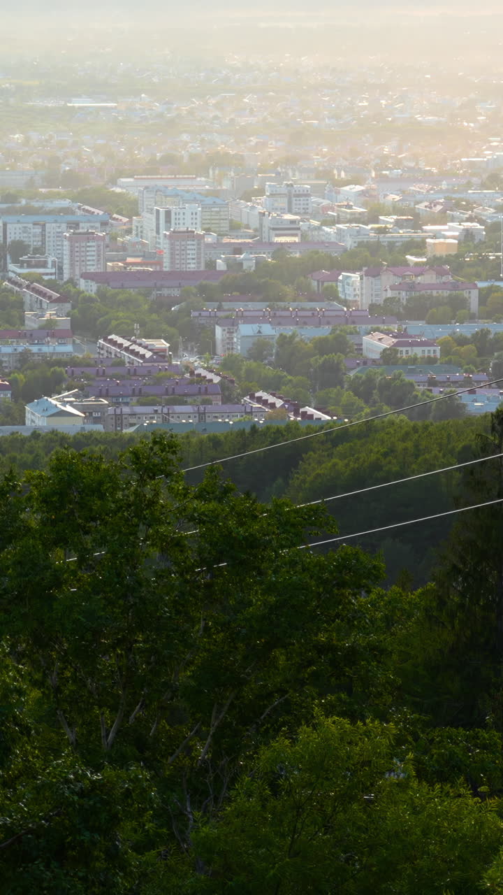 숲을 볼 수 있는 도시 풍경