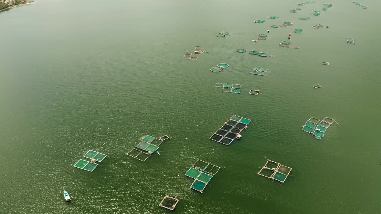 Peternakan ikan di Danau Taal, Filipina
