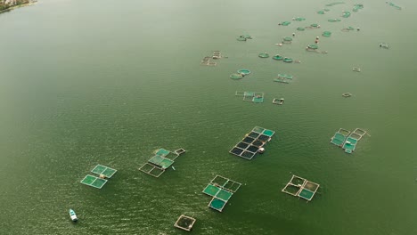 fish farm on the lake taal, philippines