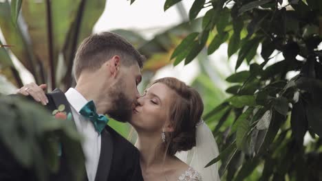 recién casados. novio caucásico con la novia en el parque. pareja de bodas. familia feliz