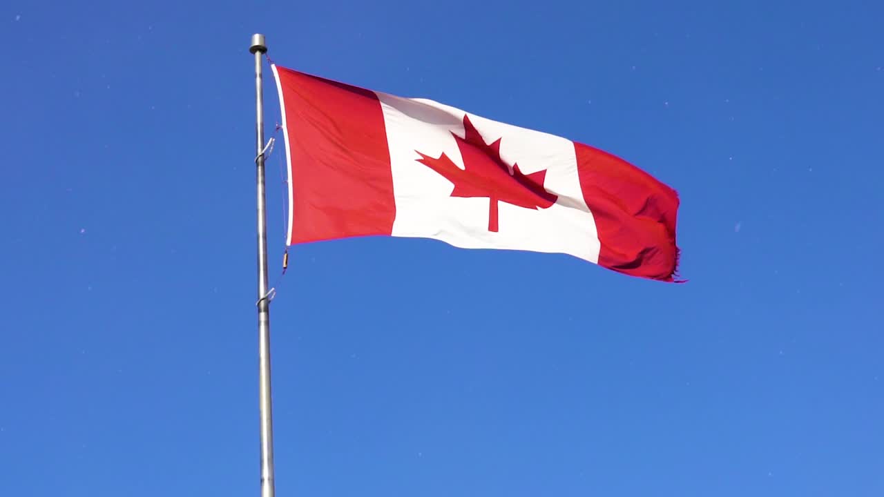 bandera canadiense ondeando en el viento con cielo azul claro y copos de nieve