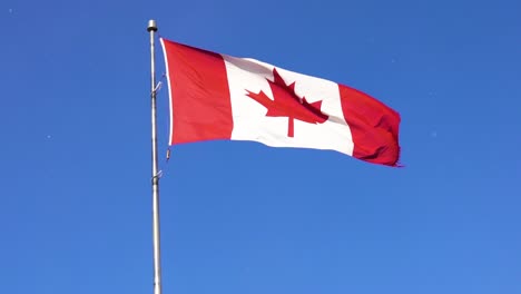 Bandera-Canadiense-Ondeando-En-El-Viento-Con-Cielo-Azul-Claro-Y-Copos-De-Nieve
