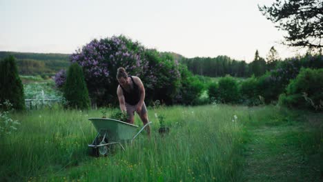 male gardener carrying plants in wheelbarrow - wide