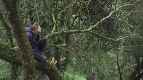 Woman-sitting-in-tree-trunk