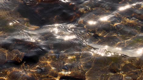 sunlit waves moving over rocky seabed