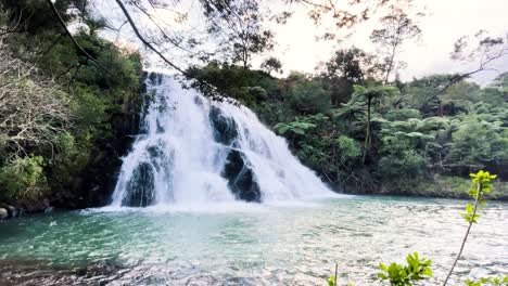 una cascada se precipita por una ladera a través de un bosque en un día nublado