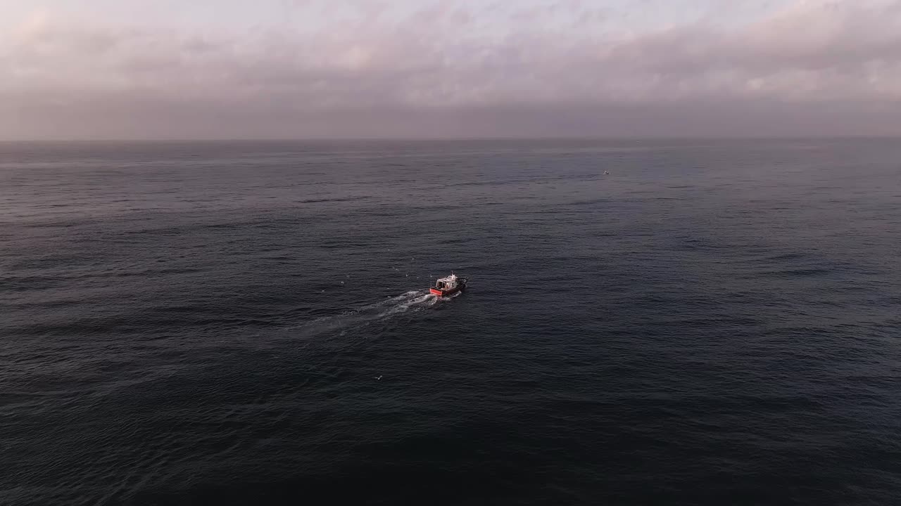 조용한 바다 파도 흐린 일몰 바다에 낚시 보트를 향해 비행하는 공중보기