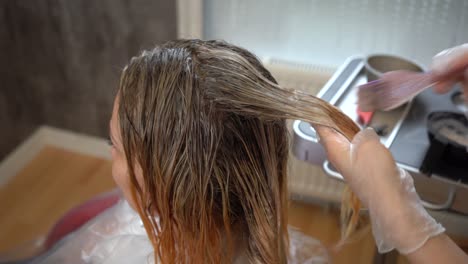 hair toning after hair coloring or highlighting in blonde in a barber shop.