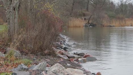 Agua-Junto-A-La-Orilla,-En-Cámara-Lenta,-Djurgarden-En-Estocolmo