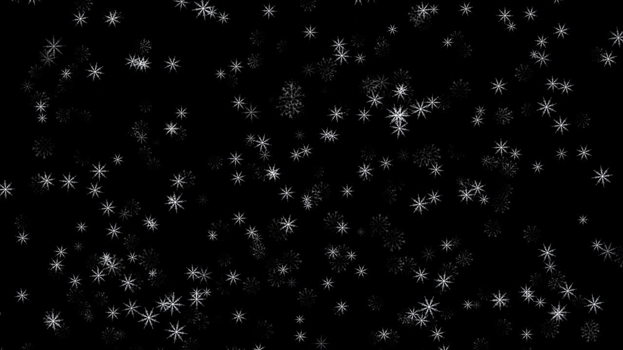 Vintersnø faller fra himmelen. Snø isolert på svart bakgrunn for komposittelementer i bevegelsesgrafikk. Tilfeldig snøstørrelse turbulens i luften og storm. Isolerte snøfnugg. 4K videoopptak