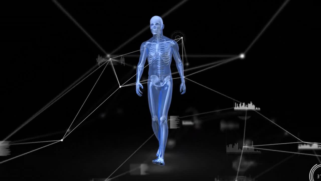 animación de la red de conexiones y procesamiento de datos sobre el modelo del cuerpo humano