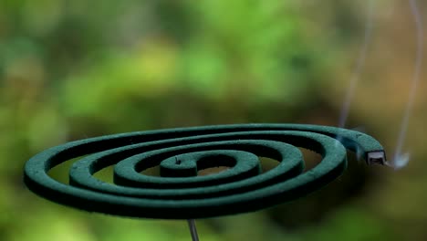 burning green mosquito coil in japanese house. summer season concept video.