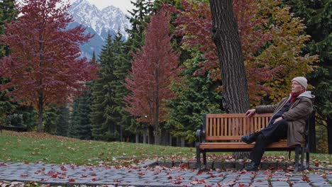 Serene autumn scene with an elderly man on a park bench, surrounded by colorful trees