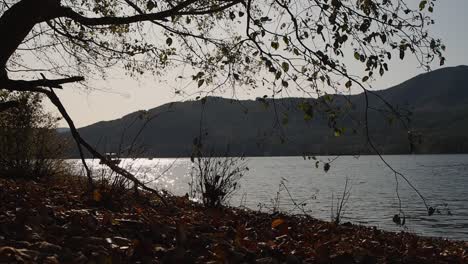 Fishing-boat-moving-on-shimmering-lake-with-mountains-in-the-background-and-tress-and-leaves-in-foreground