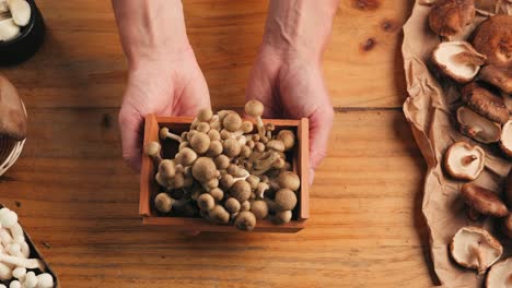 hands holding a wooden box of mushrooms