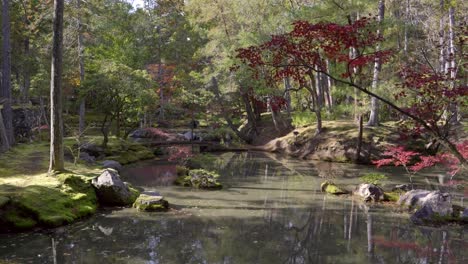japanese landscape garden with pond during fall colors