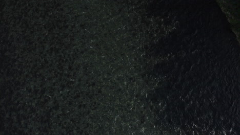 aerial - reflections in the fnjoska river, vaglaskogur forest, iceland, lowering tilt up