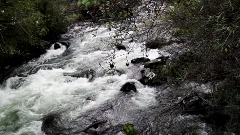 Panoramic-view-of-a-river-in-the-alerce-andino-national-park-with-surrounding-vegetation