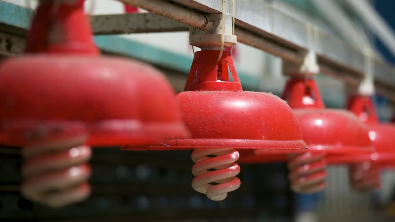 Narrow shot focusing on vibrant red lanterns at an abandoned indoor wet market in Hong Kong. The classic market decorations hang still, hinting at the city's cultural roots amid the silence.