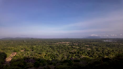 expansive aerial view showcasing dense forest and greenery in the scenic region of dambulla, sri lanka. a vivid representation of natural beauty and biodiversity.