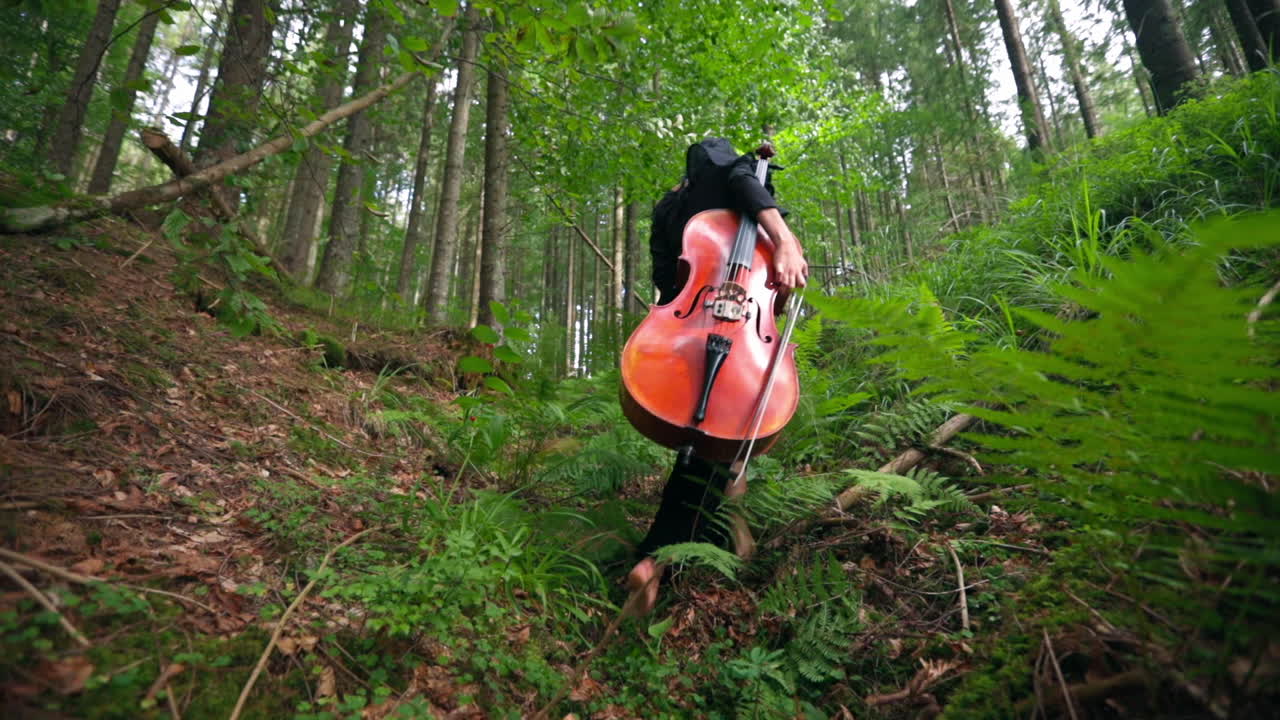 Young woman with cello outdoors. Beautiful girl plays the cello at the mountain nature
