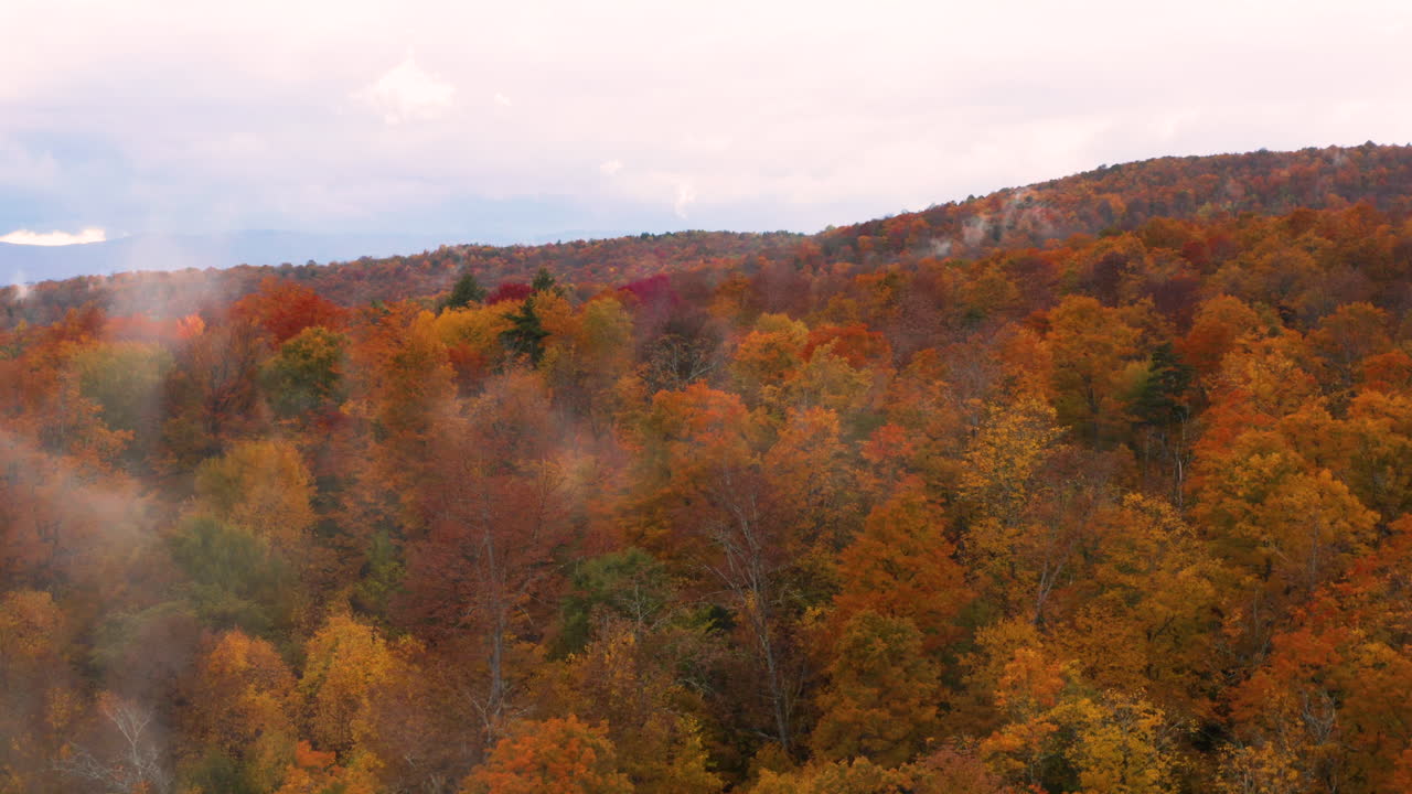 Oscillating aerial shot of a New England forest in the midst of changing colors for the Fall