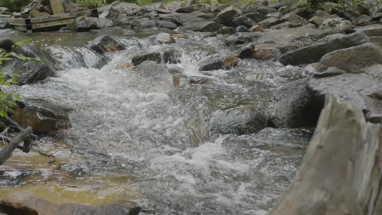 un arroyo de flujo rápido con rocas y árboles