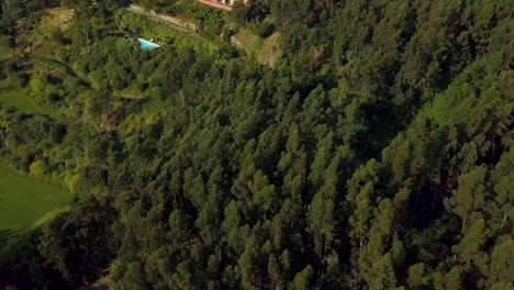 hotel al borde de un descenso empinado en un bosque