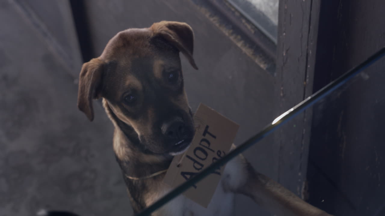 Have you come to take me home?