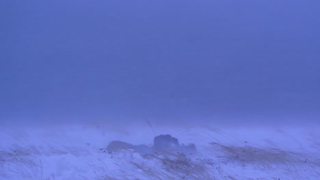 woman crawling in snow during windy snowstorm