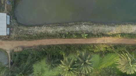 a narrow dirt road that connects a village to a hospital in the remote villages of west bengal in india
