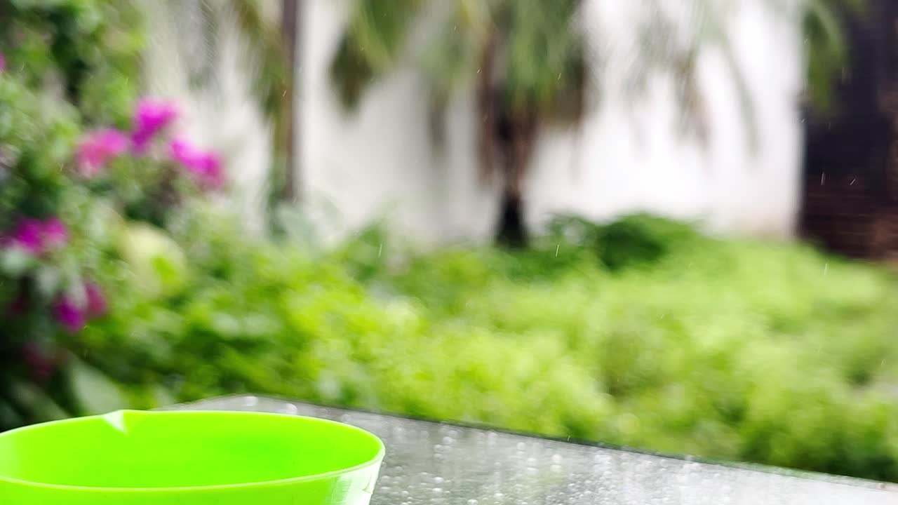 Fixed camera showing dozens of soap bubbles floating through sunlight in a lush garden.