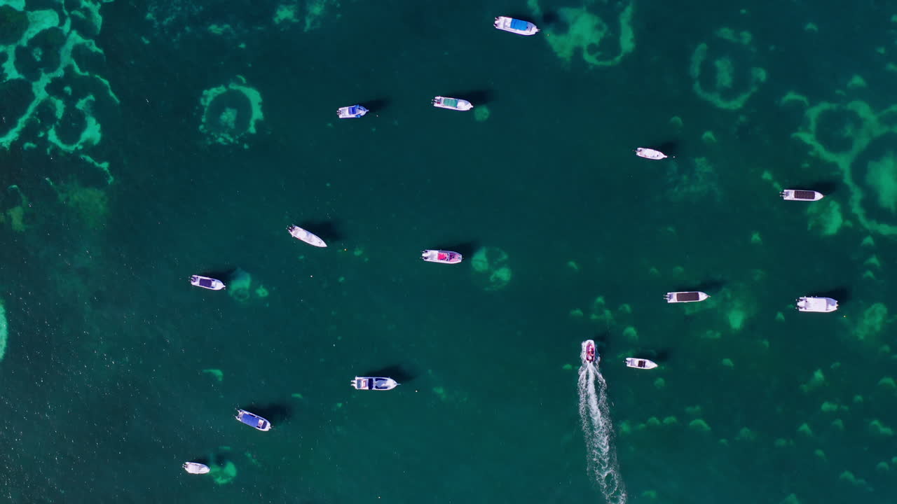 Top down aerial view of a speedboat smoothly moving between other moored boats in shallow waters