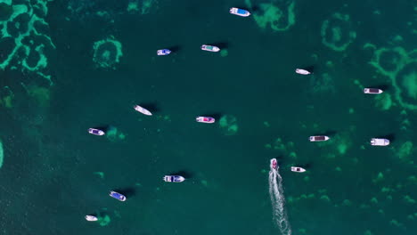 top down aerial view of a speedboat smoothly moving between other moored boats in shallow waters