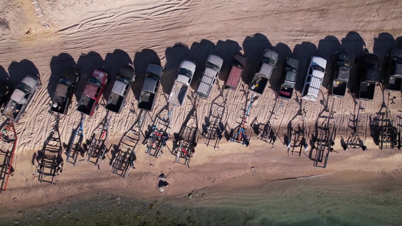 Top down aerial drone view of a herd of cattle moving together across a rural landscape in Baja California Sur, Mexico.