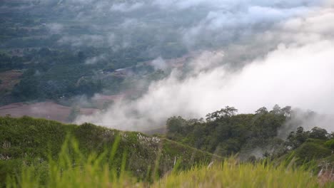tropical cloudy foggy hilltop view
