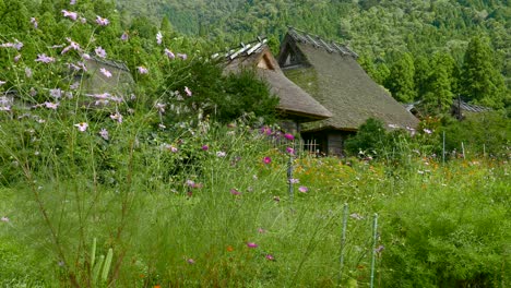 traditional village in japan