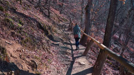 woman walking on a path in the forest