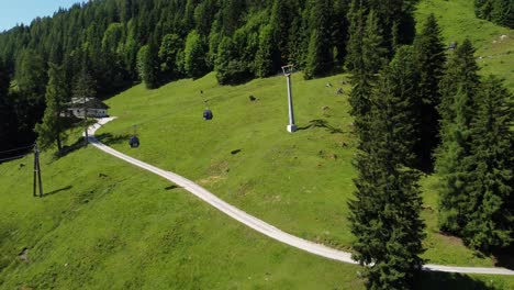 rope way leading up a mountain on a green field surrounded by a large forest in the alps in lofer, austria